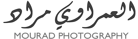 Mourad Photography