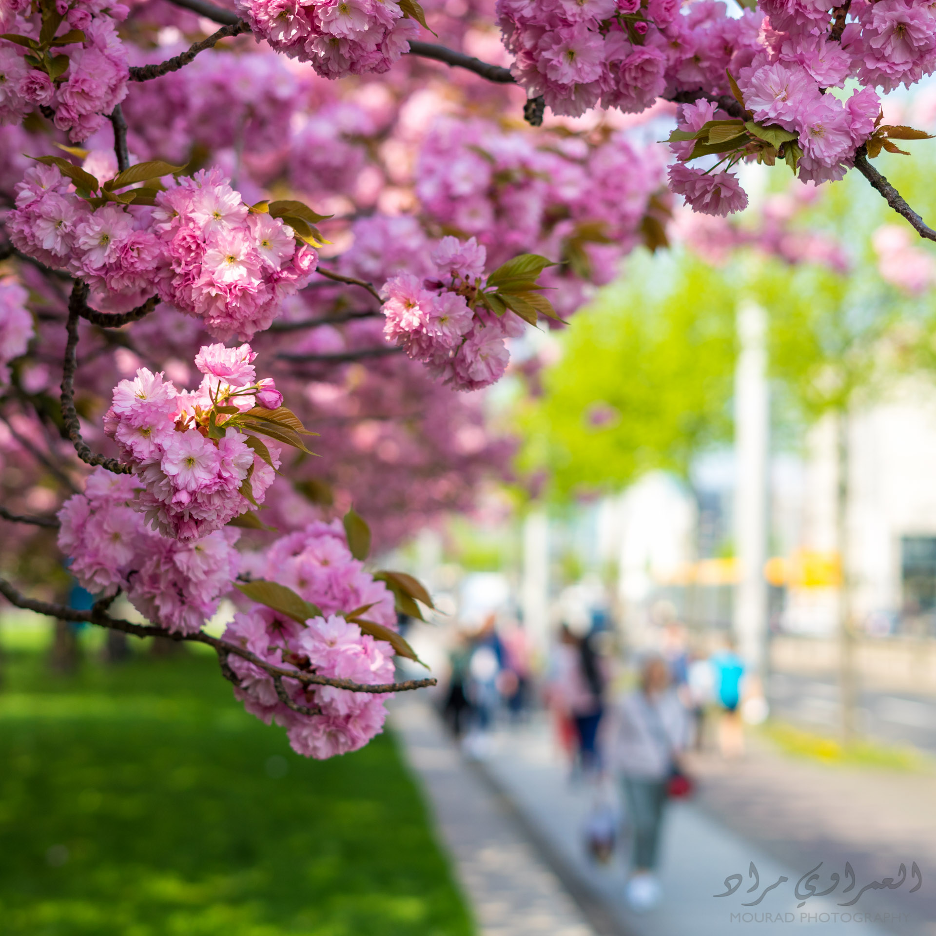 Frühling